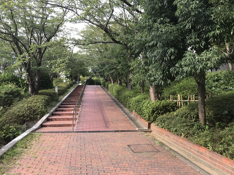 ニューシティ東戸塚パークヒルズ-h