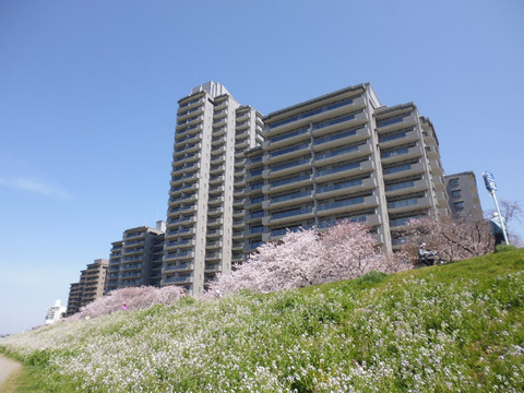 パークハウス多摩川-h