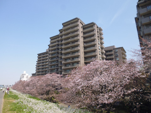 パークハウス多摩川-h