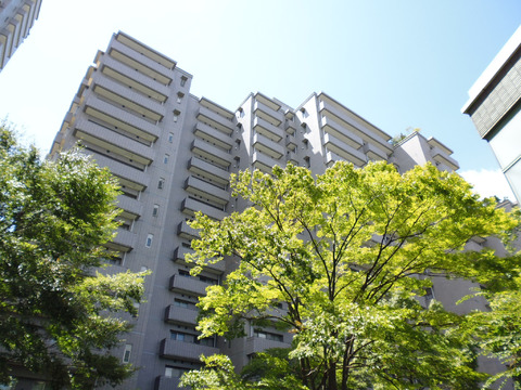 パークハウス多摩川南弐番館-h