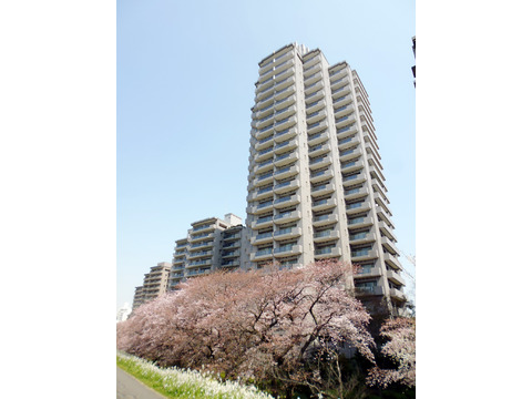 パークハウス多摩川南参番館-h