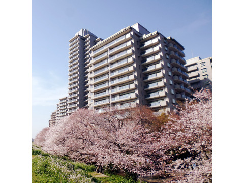 パークハウス多摩川南四番館-h