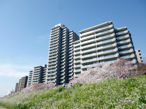 パークハウス多摩川南四番館-h