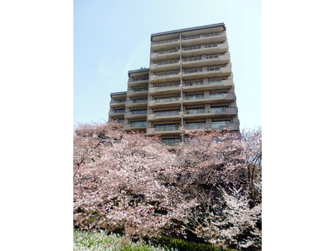 パークハウス多摩川北弐番館-h