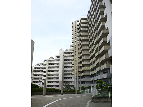 ジェームス山ヒルズ-h