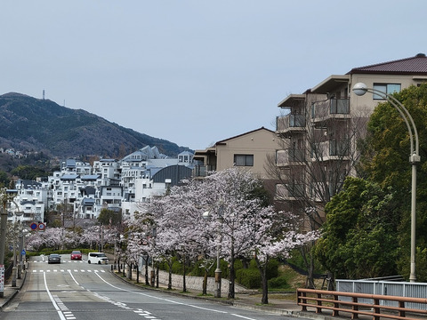 西宮名塩パークハウス4号棟-h