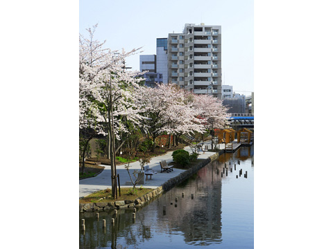 ザ・パークハウスアーバンス木場公園-h