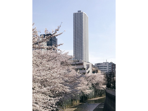 ザ・パークハウス西新宿タワー60-h
