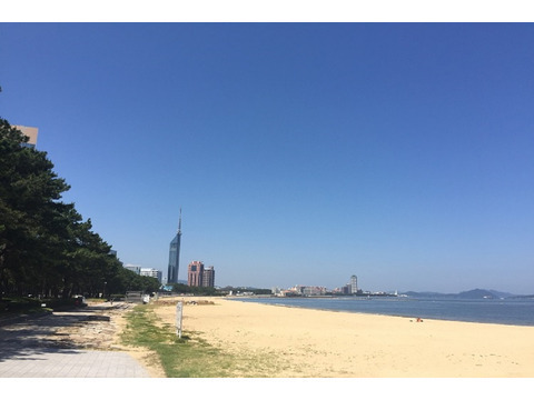 ザ・パークハウス福岡タワーズ　EAST-h