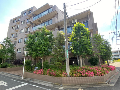 藤和シティコープ国分寺II-0-0