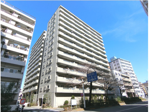 藤和ハイタウン練馬-0-0