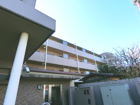 藤和シティホームズ平和台-h