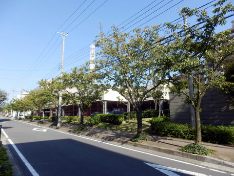 ガーデナヴィルマグノリア市川妙典-h