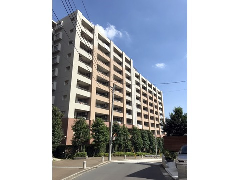 プライマルシティ-h