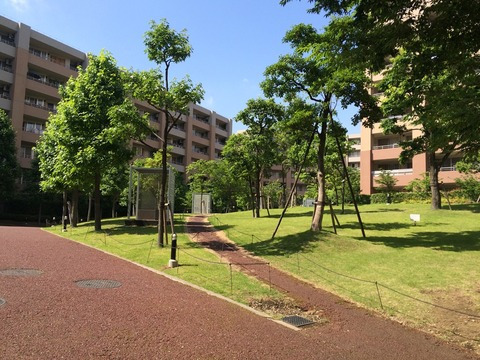 プライマルシティ-h