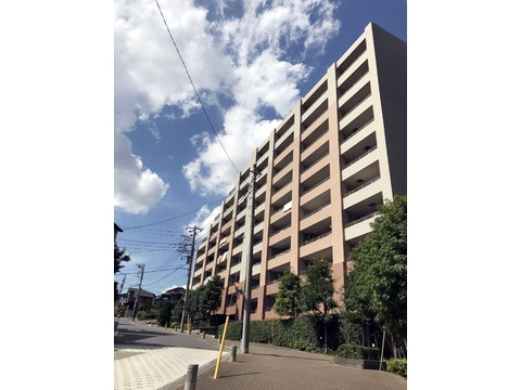 プライマルシティ-h