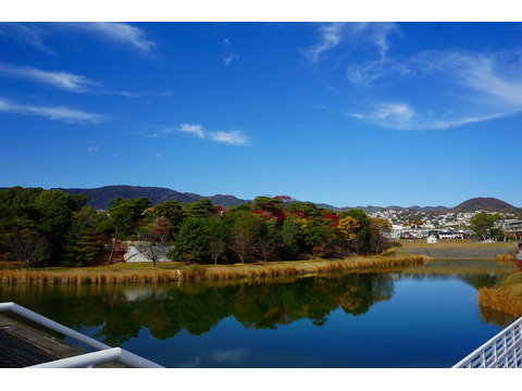 藤和夙川城山ホームズ-h