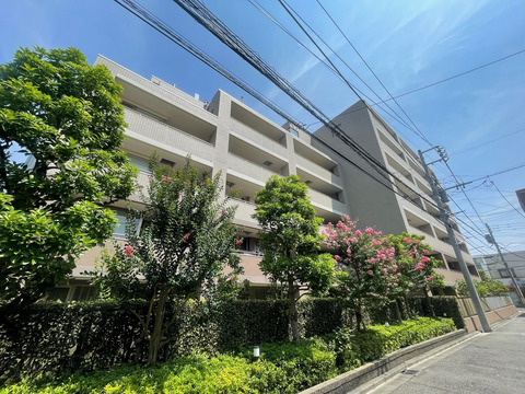 藤和シティホームズ武蔵小杉御殿町-h