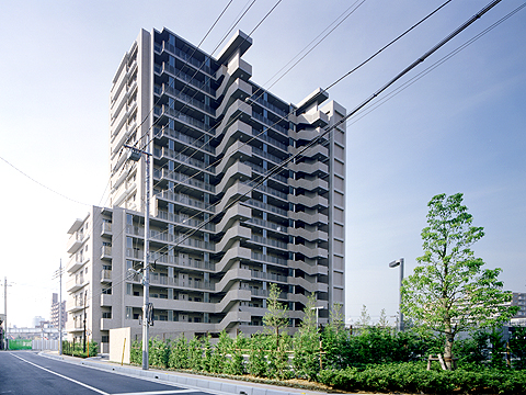 川口ティーブルー