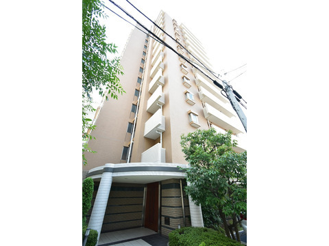 藤和平野町ホームズ緑風邸-h